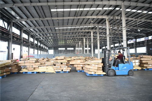 昔日破爛村，今朝變美致富曲——室內(nèi)裝飾材料銷(xiāo)售引領(lǐng)鄉(xiāng)村振興